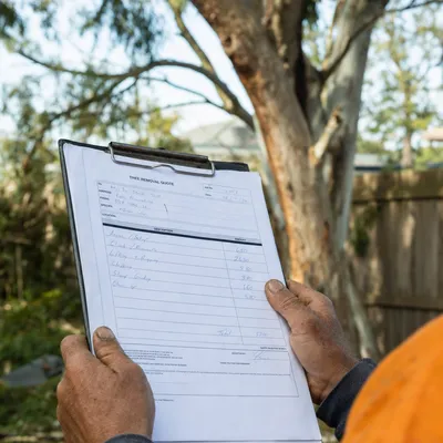 Reading a written tree removal quote on site in Adelaide