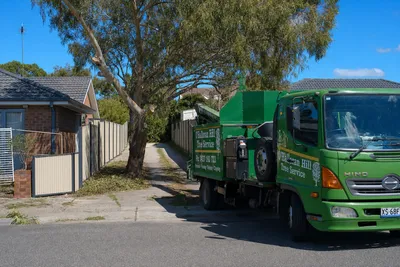 Drought stress and tight access, Adelaide