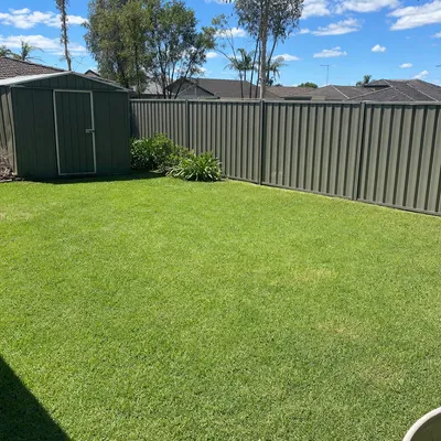 After: Storm limb across a driveway, Adelaide