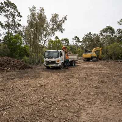 Land Clearing job in Adelaide by qualified local arborists