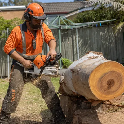 Tree Removal services in Adelaide by local qualified arborists