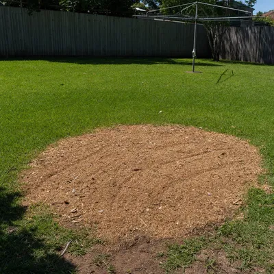 Chip and mulch left on site, Adelaide