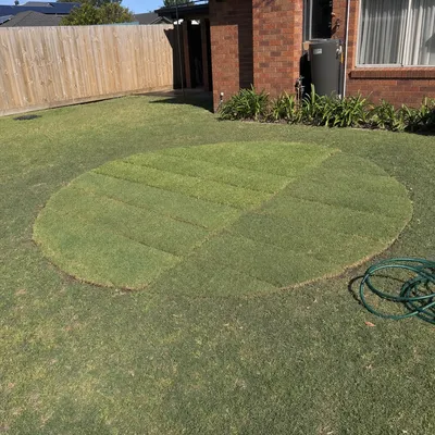 Stump ground 150–300mm under grade, Adelaide